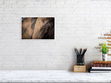 Load image into Gallery viewer, 4641842-1073396
