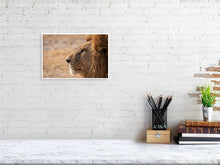 Load image into Gallery viewer, 4641856-1073412
