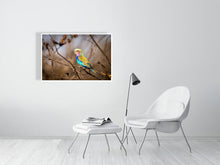 Load image into Gallery viewer, 6903654-1924845
