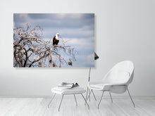 Load image into Gallery viewer, 6903643-1924834
