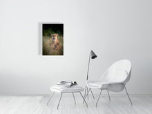 Load image into Gallery viewer, 6903648-1924906
