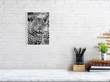 Load image into Gallery viewer, 6903667-1924879
