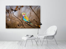 Load image into Gallery viewer, 6903654-1924846
