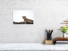 Load image into Gallery viewer, 4641808-1073372
