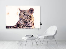 Load image into Gallery viewer, 4641895-1073465
