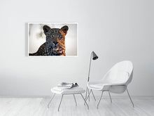 Load image into Gallery viewer, 4641899-1073430
