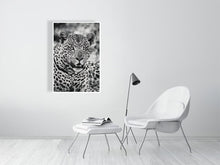 Load image into Gallery viewer, 6903667-1924896
