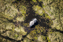 Load image into Gallery viewer, 6903686
