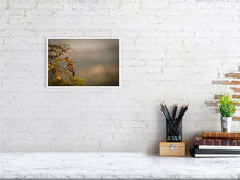 Load image into Gallery viewer, 6903630-1924811
