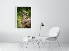 Load image into Gallery viewer, 6903639-1924899
