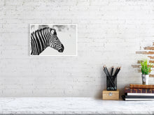 Load image into Gallery viewer, 6903655-1924847
