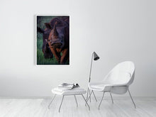 Load image into Gallery viewer, 4641877-1073437
