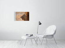 Load image into Gallery viewer, 4641856-1073413
