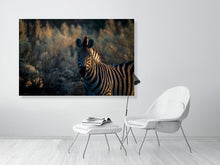 Load image into Gallery viewer, 6903652-1924842
