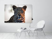 Load image into Gallery viewer, 4641899-1073431
