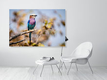 Load image into Gallery viewer, 6903676-1924862
