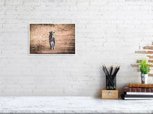 Load image into Gallery viewer, 4641880-1073424
