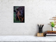 Load image into Gallery viewer, 4641877-1073435
