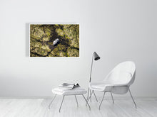 Load image into Gallery viewer, 6903686-1924869
