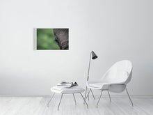 Load image into Gallery viewer, 4641868-1073421
