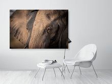 Load image into Gallery viewer, 4641842-1073399
