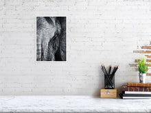 Load image into Gallery viewer, 4641823-1073482
