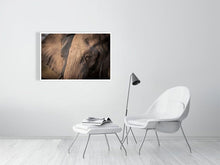 Load image into Gallery viewer, 4641842-1073398
