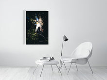 Load image into Gallery viewer, 6903640-1924903
