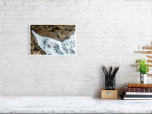 Load image into Gallery viewer, 6946541-1927303
