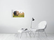 Load image into Gallery viewer, 4641812-1073377
