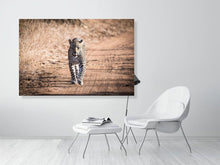 Load image into Gallery viewer, 4641880-1073427
