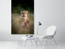 Load image into Gallery viewer, 6903648-1924908
