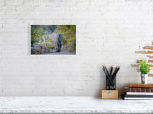 Load image into Gallery viewer, 6903660-1924851
