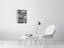 Load image into Gallery viewer, 6903667-1924886
