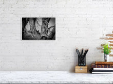 Load image into Gallery viewer, 4641830-1073388
