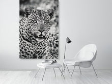 Load image into Gallery viewer, 6903667-1924909
