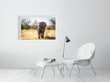 Load image into Gallery viewer, 6903664-1924857
