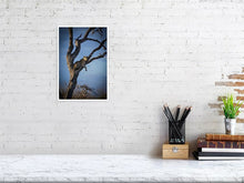 Load image into Gallery viewer, 4641805-1073453
