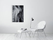 Load image into Gallery viewer, 4641823-1073484
