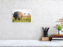 Load image into Gallery viewer, 4641812-1073376
