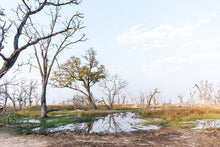 Load image into Gallery viewer, Paradise Pools - Amanda Jayne Photography
