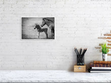 Load image into Gallery viewer, 4641864-1073470
