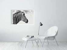 Load image into Gallery viewer, 6903655-1924849
