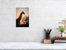 Load image into Gallery viewer, 4641902-1073459
