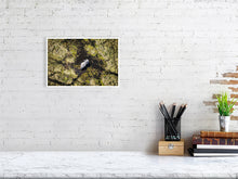 Load image into Gallery viewer, 6903686-1924867
