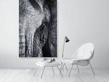 Load image into Gallery viewer, 4641823-1073485
