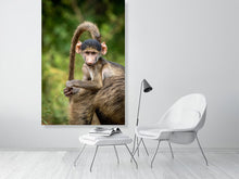 Load image into Gallery viewer, 6903639-1924900
