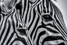 Load image into Gallery viewer, Illusions - Amanda Jayne Photography
