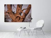 Load image into Gallery viewer, 6903632-1924818
