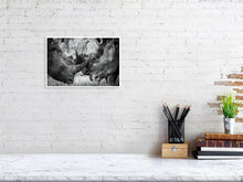 Load image into Gallery viewer, 4641870-1073466
